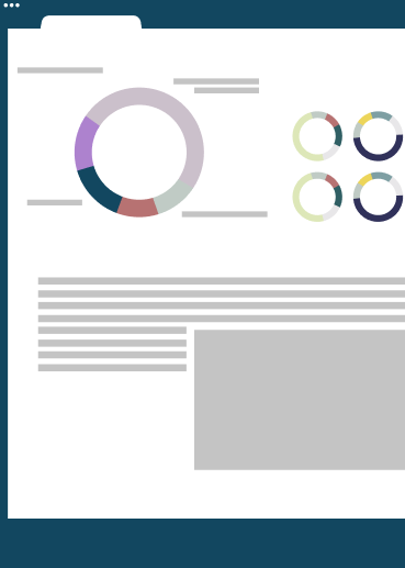 Website audit