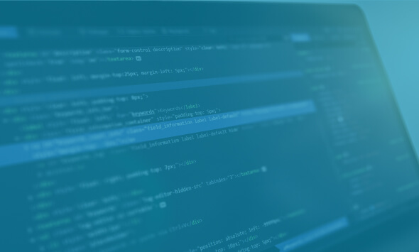 Website development