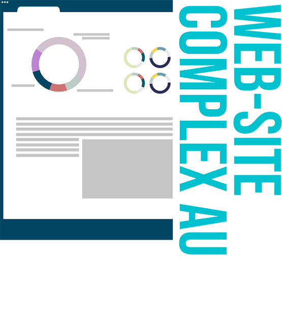 Website audit